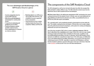 WP_SAP-Analytics-Cloud_S4_EN