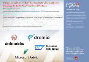 Databricks_14-07-25 EN_Titel_V2