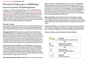 Whitepaper BW Bridge Lessons learned
